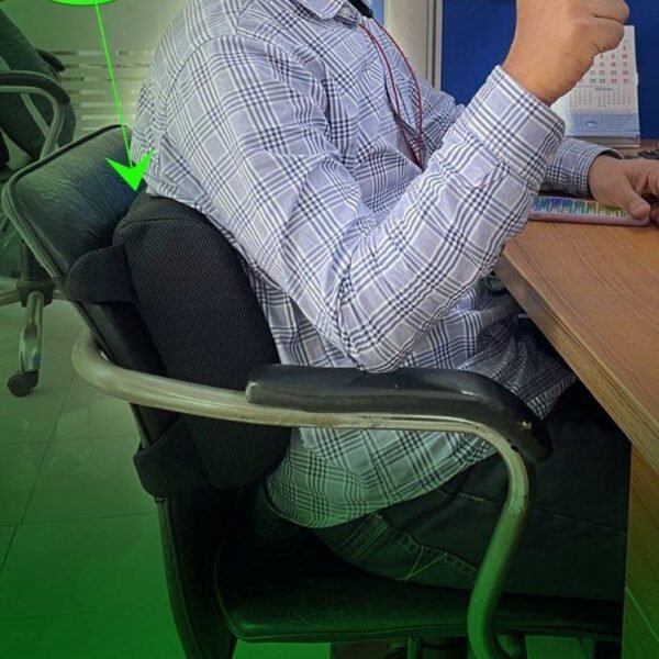 FitProBD লাম্বার ব্যাক সাপোর্ট পিলো