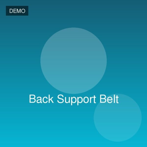 Back Support Belt