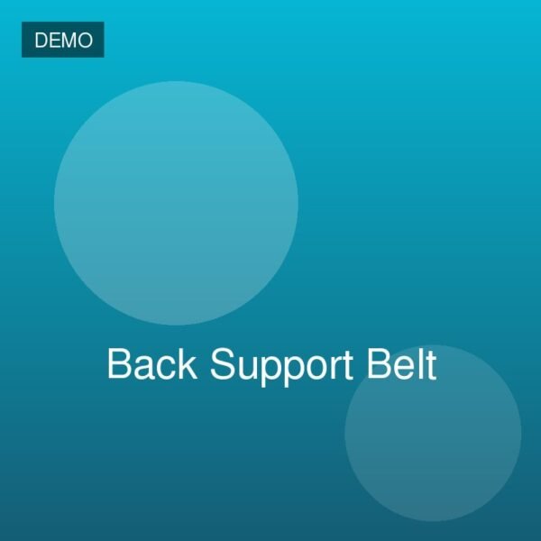 Back Support Belt