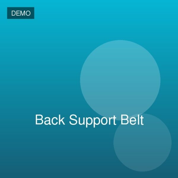 Back Support Belt