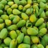 কাটিমন আমের সংগ্রহ