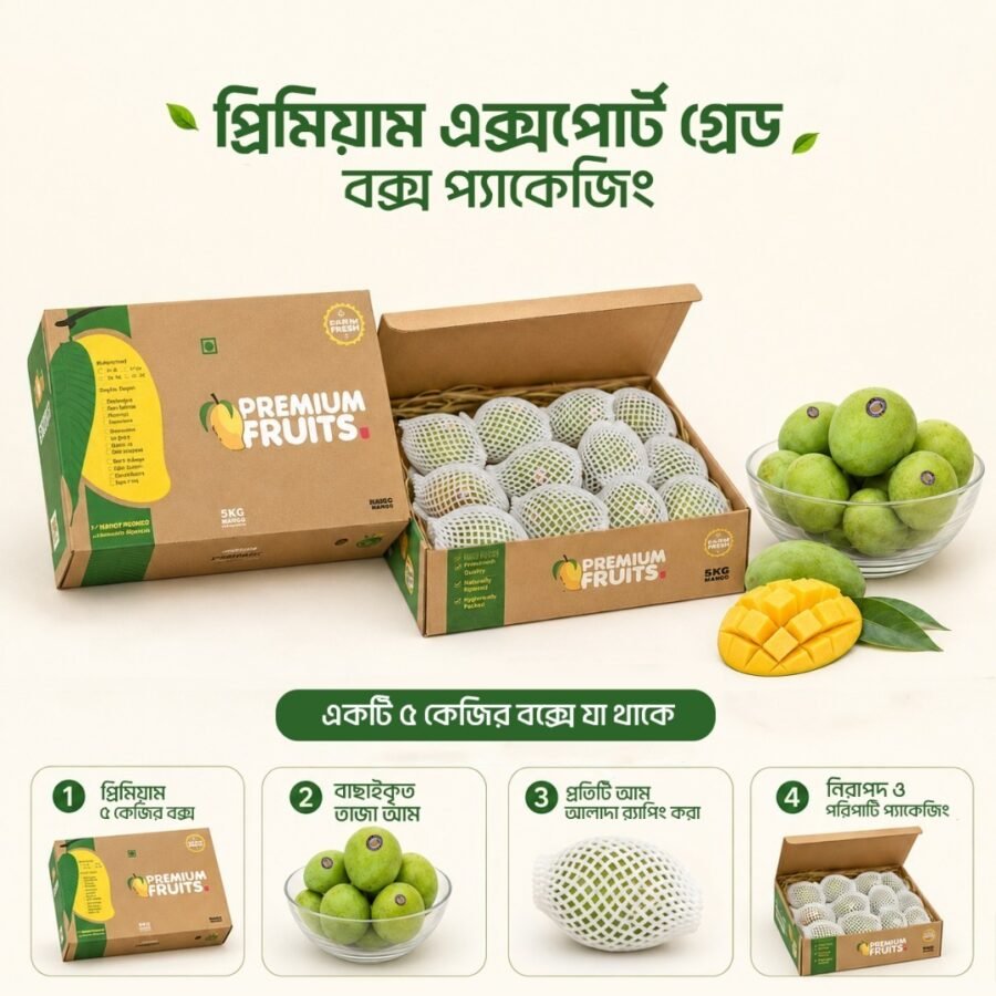 এক্সপোর্ট গ্রেড বক্স