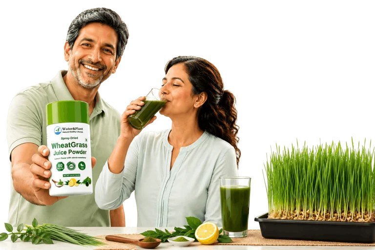 Organic Wheatgrass Powder